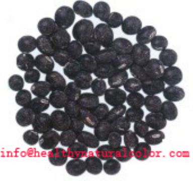 Black Soybean Hull Extract